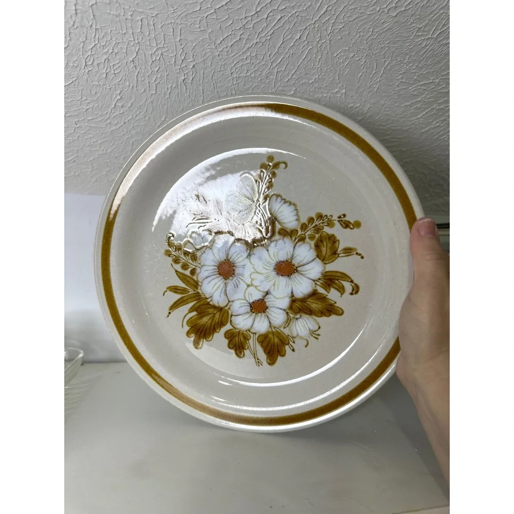 Mountain Wood Collection Dried Flowers Stw 2 Dinner Plate Japan Vintage Brown‎
